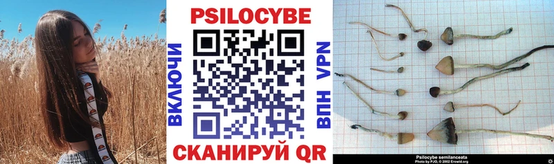 наркошоп  Туран  Псилоцибиновые грибы GOLDEN TEACHER 